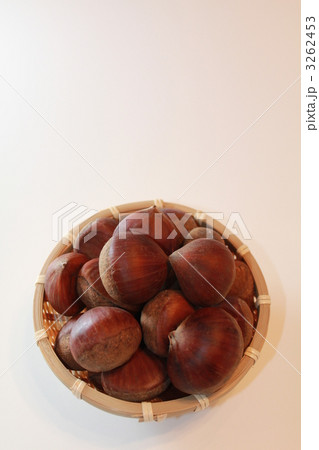栗 栗 3262453