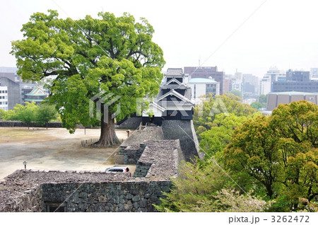 熊本城・飯田丸五階櫓 3262472