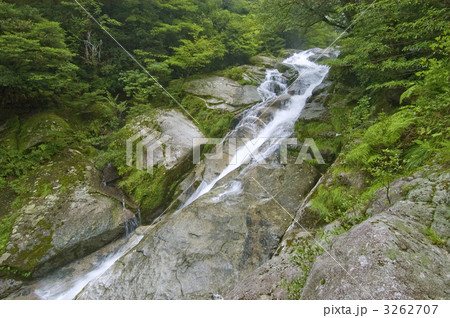 白谷雲水峡 3262707