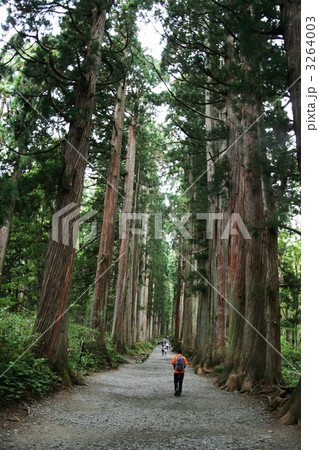 戸隠神社　奥社・九頭竜社参拝道 3264003