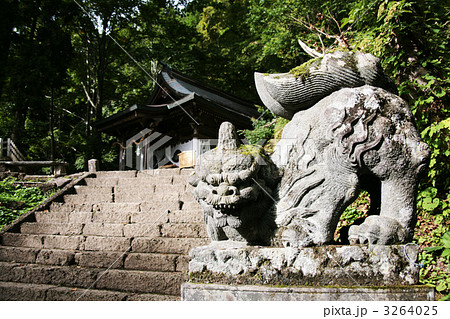 戸隠神社　九頭竜社 3264025
