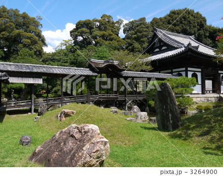 高台寺庭園 3264900