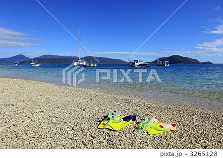 フィッツロイ島 3265128