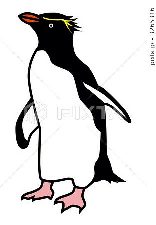イワトビペンギン1のイラスト素材