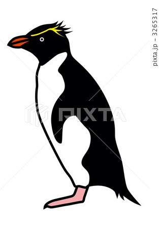 イワトビペンギン2のイラスト素材