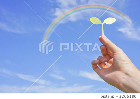 紙で作った芽を持つ手と虹空 3266180