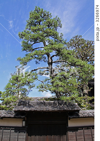 名古屋市緑区　有松の町並み　服部邸 3266974