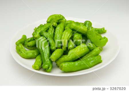 白い皿に盛ったシシトウ 3267020