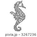 タツノオトシゴ 3267236