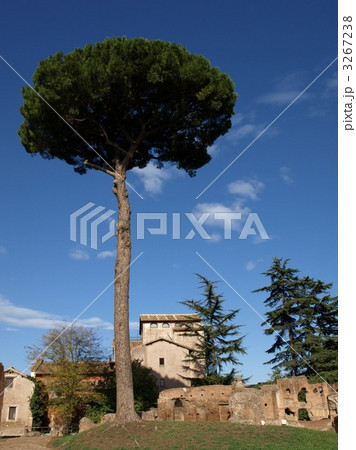 イタリア 3267238