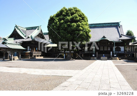 柴又帝釈天 3269228