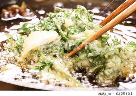 かき揚げ かき揚げ 3269351