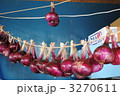 赤たまねぎの収穫 3270611
