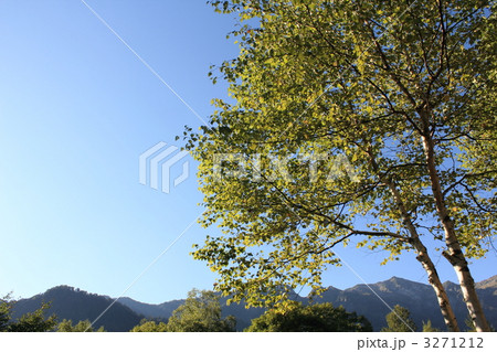 アルプス展望 アルプス展望 3271212