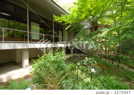 武者小路実篤記念館 武者小路実篤記念館 3272047