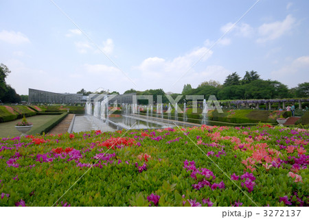 神代植物公園 神代植物公園 3272137