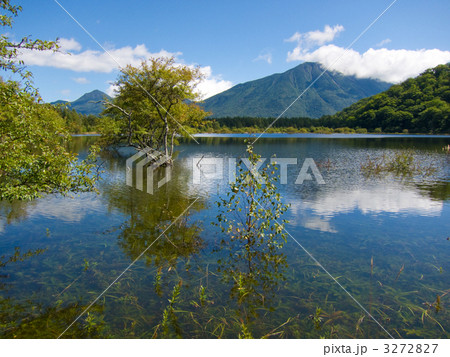 幻の小田代湖と男体山 幻の小田代湖と男体山 3272827