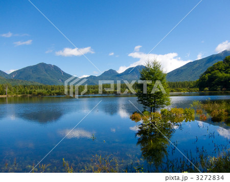 幻の小田代湖 3272834