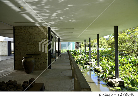 神奈川県立近代美術館 3273046