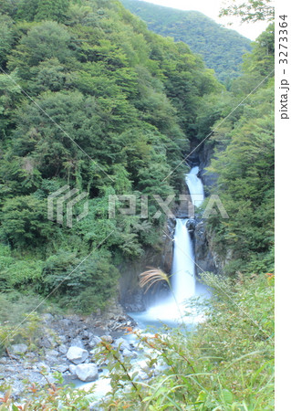 赤水の滝 3273364