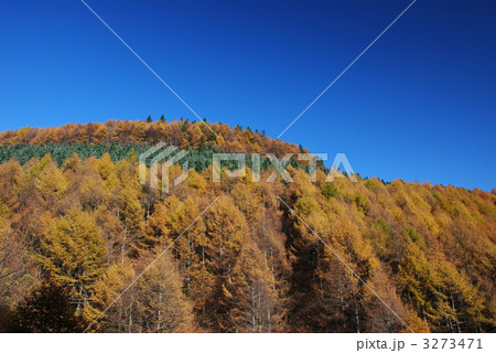 山林の縞模様 3273471