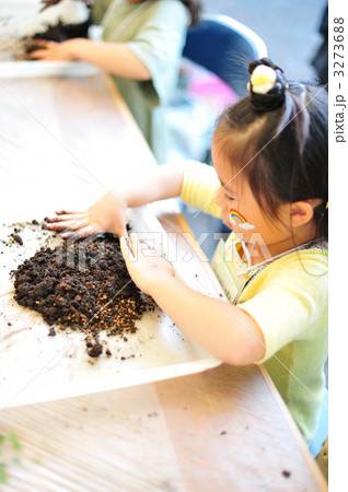 苔玉作り 苔玉作り 3273688