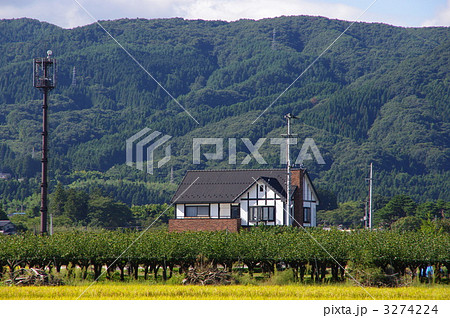 果樹園と民家 山里の果樹園と民家 果樹園と民家 山里の果樹園と民家 3274224