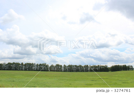牧草地・北海道中標津 3274761