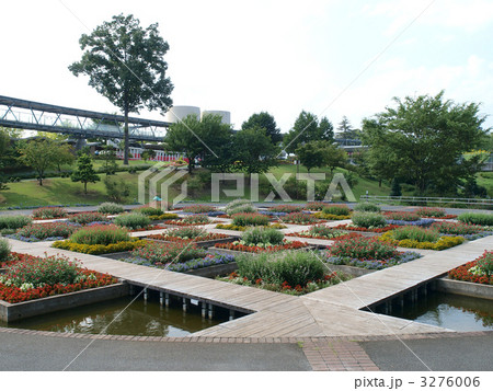 とっとり花回廊・池と花壇 3276006
