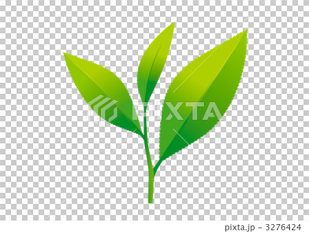 葉 3276424
