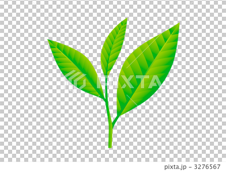 葉 3276567