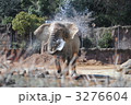 象の水浴び♪ 3276604