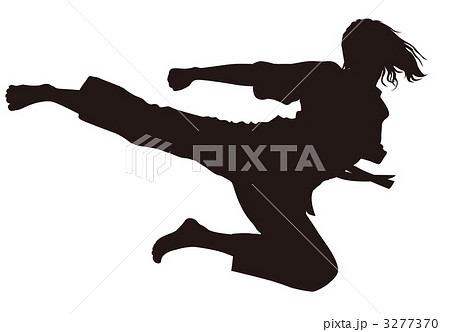 空手女性飛び蹴りのイラスト素材