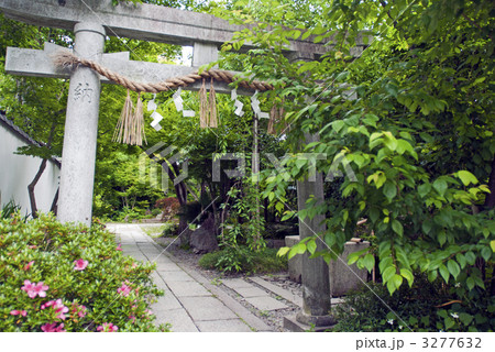 京都御苑 宗像神社 京都御苑 宗像神社 3277632