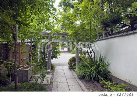 京都御苑　宗像神社 3277633