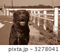 3278041
