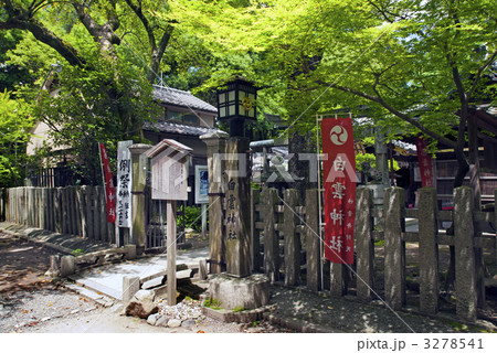 京都御苑　白雲神社 3278541