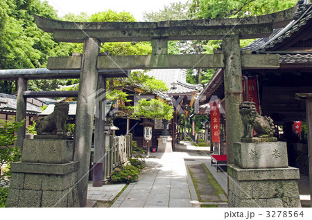 京都御苑 白雲神社 京都御苑 白雲神社 3278564
