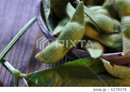 丹波ささやま黒豆　枝豆 3279376