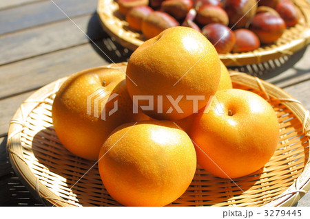 豊水梨と栗 豊水梨と栗 3279445