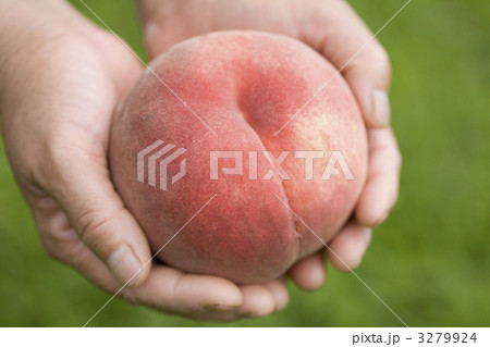 3279924