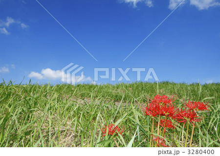 青空と彼岸花 3280400