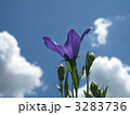 3283736