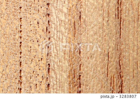 ケヤキ材 ケヤキ材 3283807