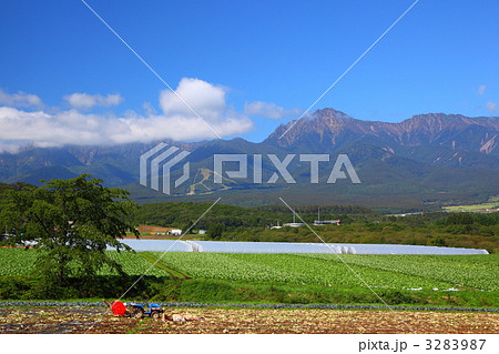 八ヶ岳と高原野菜 八ヶ岳と高原野菜 3283987