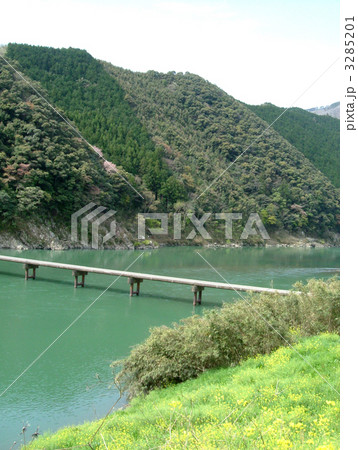 春の四万十川と沈下橋 3285201
