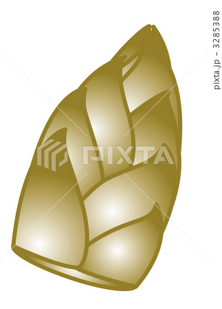 たけのこ 3285388