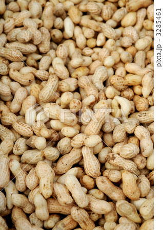 落花生 落花生 3285461