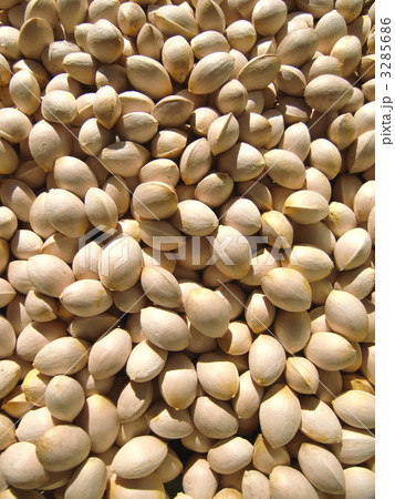 ぎんなん１ 3285686