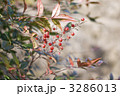 3286013